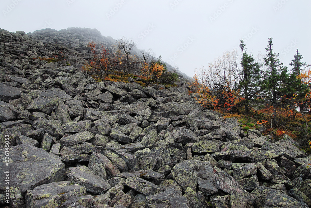 Ural mountains in the northern ridge. Rocky hillside, mosses and rare plants under the bright sun.