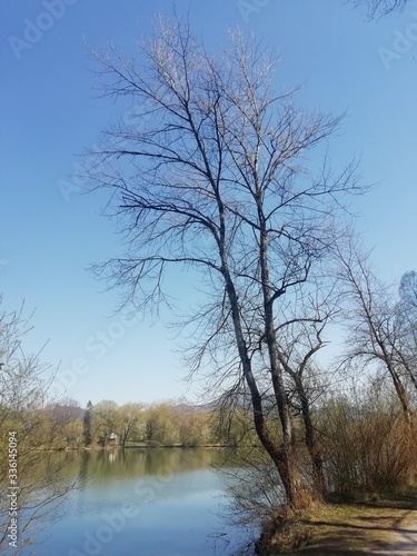 Frühlingserwachen am See