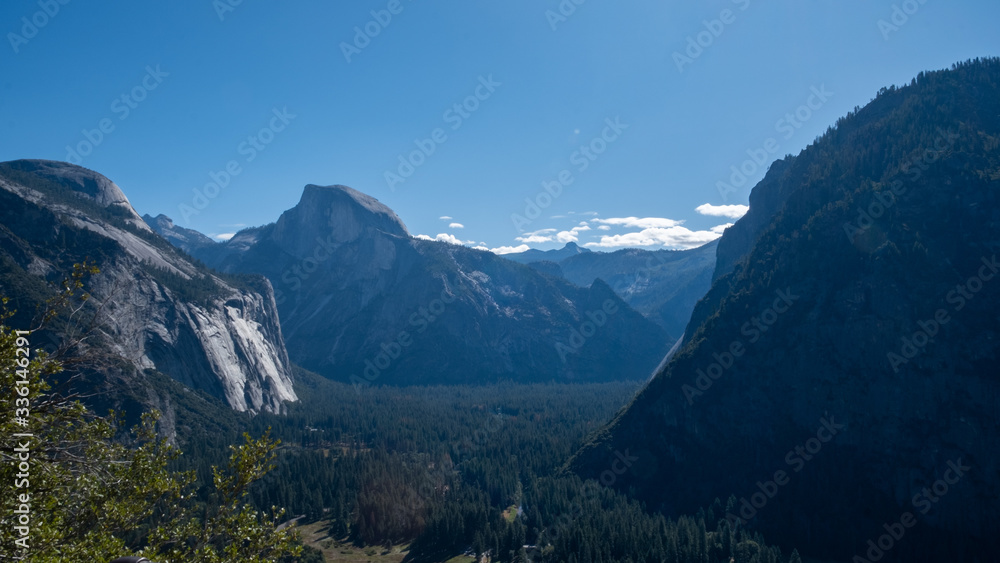 Obraz premium view on the forest and mountains of Yosemite national park