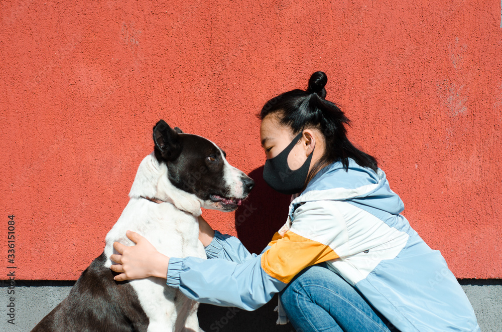 Korean young girl in protective face mask looking at dog wearing medical mask too. Chinese Coronavirus disease COVID-19 is dangerous for pets concept