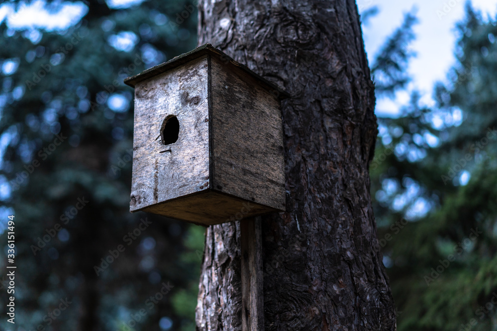 Birdhouse for birds mounted on a tree Birdhouse for birds mounted on a tree