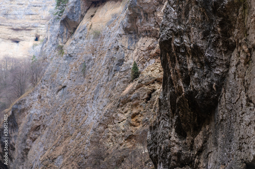 Rock with spruce growing on it