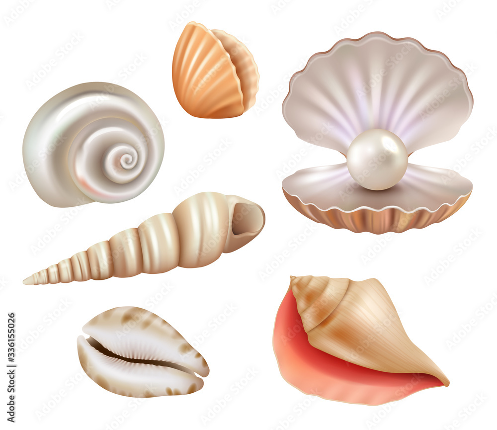 Open seashells. Luxury pearls and marine objects from sea or ocean vector  realistic set. Mollusk and shell, seashell with jewelry, precious  illustration Stock Vector