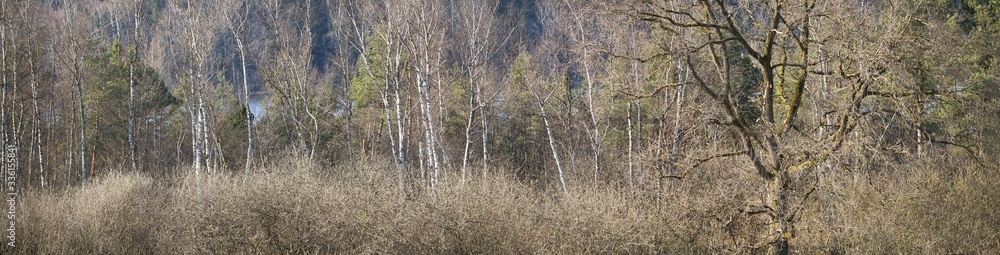 Fototapeta premium Am Hofstätter See