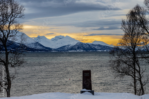 Canvas Print stele affiorante dalla neve in riva al fiordo norvegese