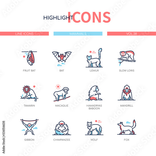 Different mammals - modern line design style icons set
