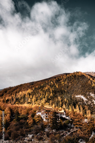Nature landscape river in pine forest mountain valley,Snow Mountain in daocheng yading,Sichuan,China.