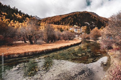 Nature landscape river in pine forest mountain valley,Snow Mountain in daocheng yading,Sichuan,China.
