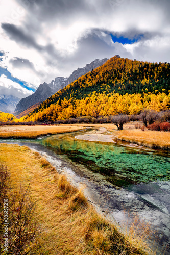 Nature landscape river in pine forest mountain valley,Snow Mountain in daocheng yading,Sichuan,China.