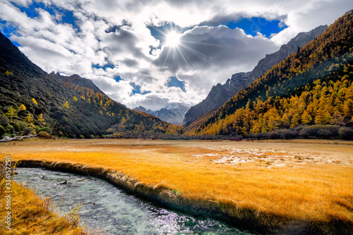 Nature landscape river in pine forest mountain valley,Snow Mountain in daocheng yading,Sichuan,China.