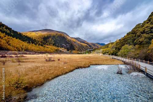 Nature landscape river in pine forest mountain valley,Snow Mountain in daocheng yading,Sichuan,China.
