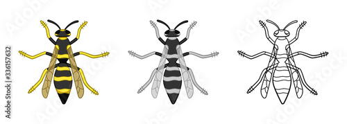 Top view wasps set in different styles isolated illustration on white background