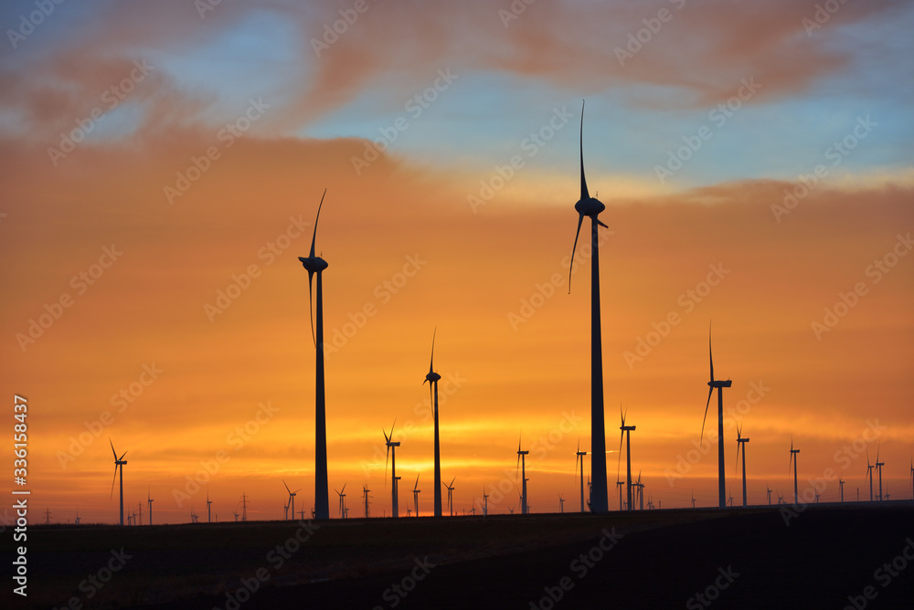 Obraz premium Eolian turbines park at sunet, warm light. Wind power concept