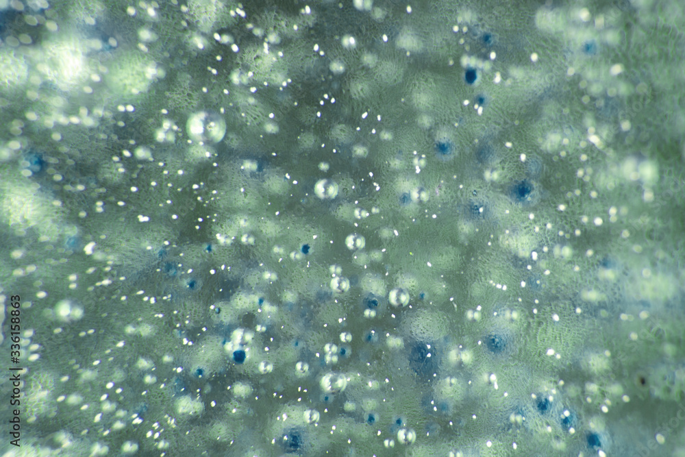 Air bubbles in the water background.Blue tone,Abstract Backgrounds. Air bubbles in the water background.Blue tone,Abstract Backgrounds.
