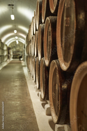 Background of wine barrels in wine-vaults. Mixed media. Interior of wine vault with wooden barrels.