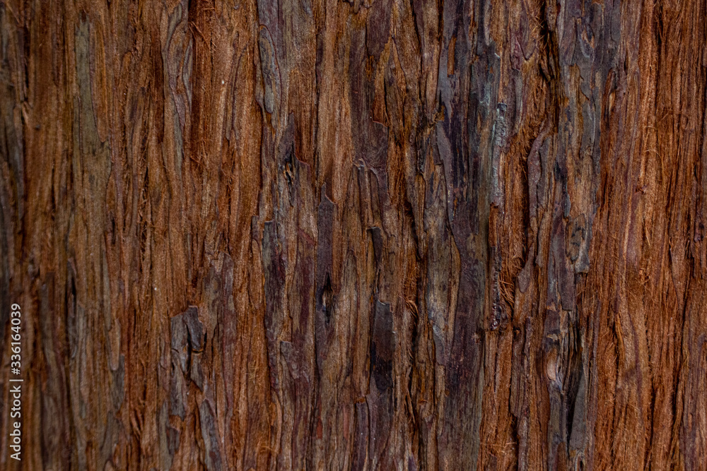 Wood texture background