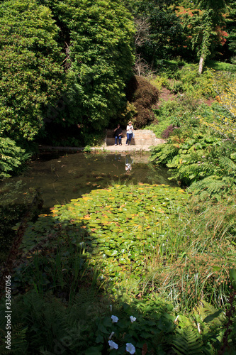Photography Saltash (England), UK - August 21, 2015: Cotehele park, near Saltash,  Cornwall, England, United Kingdom