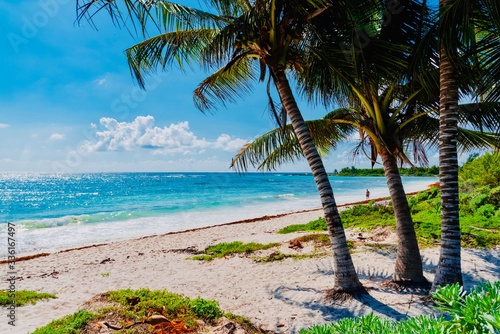 Fototapeta Naklejka Na Ścianę i Meble -  Caribbean landscape with palm trees on biamca beach Playa del Carmen Mexico