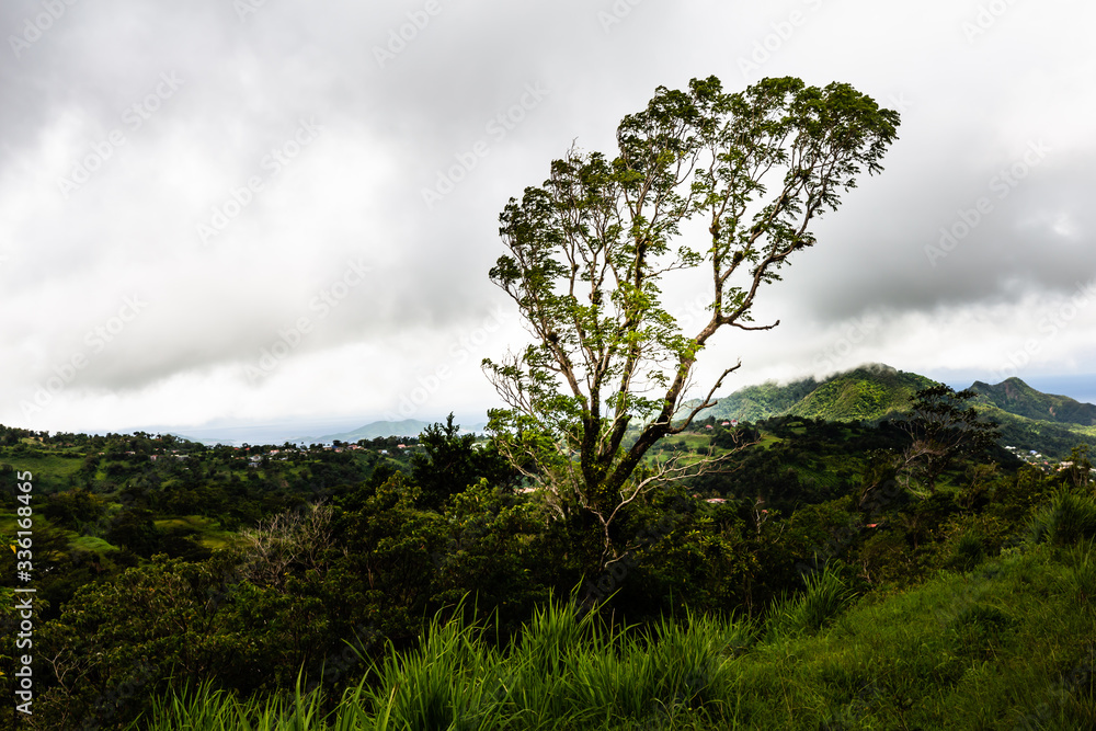 Obraz premium Hiking around the Soufrière volcano, Guadeloupe
