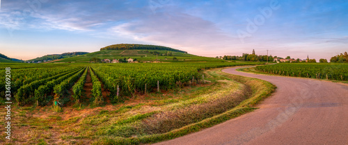 Fotografi route des grands crus