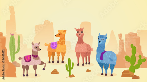 Lovely lamas character hand drawn cartoon vector illustration landscape. Different colors and moods cute animals with bright blanket in hot desert near cactus and rocks. Banner, wallpaper, print