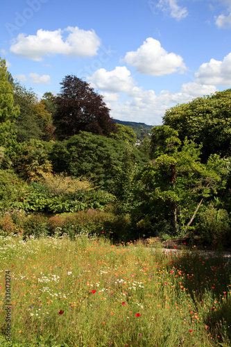 Photography Saltash (England), UK - August 21, 2015: Cotehele park, near Saltash,  Cornwall, England, United Kingdom