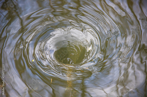 Wasserstrudel auf überschwemmter Wiese © Michael
