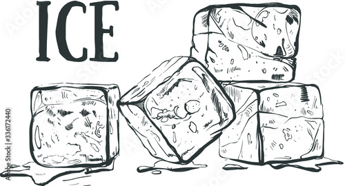 Hand drawn sketch ice cube. Eco food. Vector illustration. ice cube, on the white background. Organic illustration