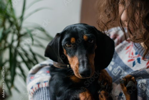 girl with dog dachshund in her arms
