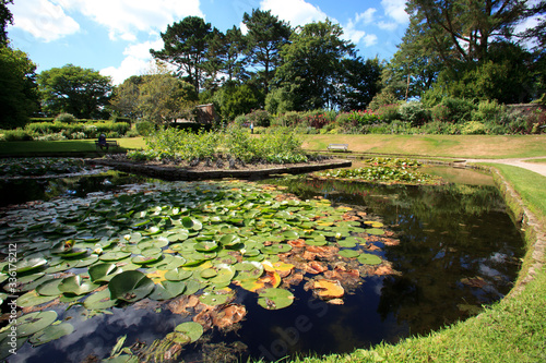 Fotografie Saltash (England), UK - August 21, 2015: A small lake in Cotehele park, near Saltash,  Cornwall, England, United Kingdom