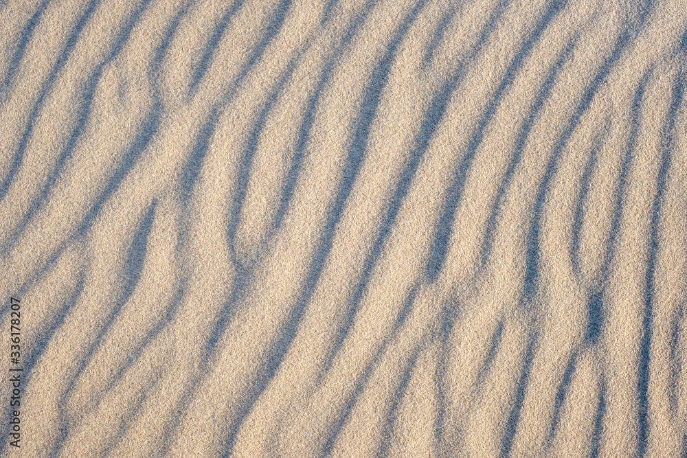 Sand texture. Sandy beach for background. Top view Sand texture. Sandy beach for background. Top view