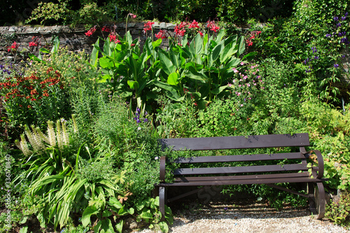 Fototapet Saltash (England), UK - August 21, 2015: A banch in Cotehele park, near Saltash,  Cornwall, England, United Kingdom