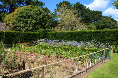 Tablou pe pânză Saltash (England), UK - August 21, 2015: Cotehele park, near Saltash,  Cornwall, England, United Kingdom
