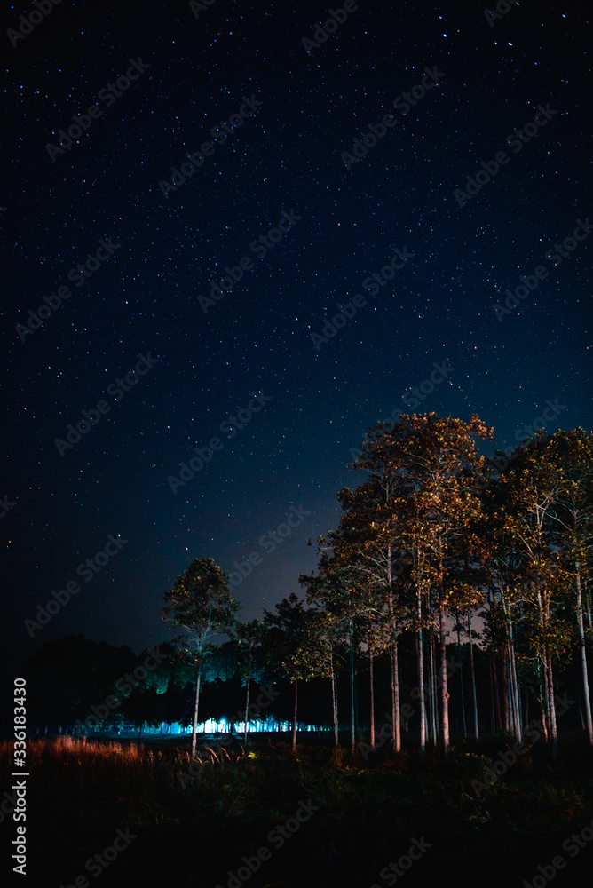 Night star View Thung Sa Lang Lung Thailand Night star View Thung Sa Lang Lung Thailand