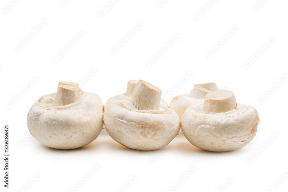 Champignon mushroom isolated on white background. Champignon mushroom isolated on white background.