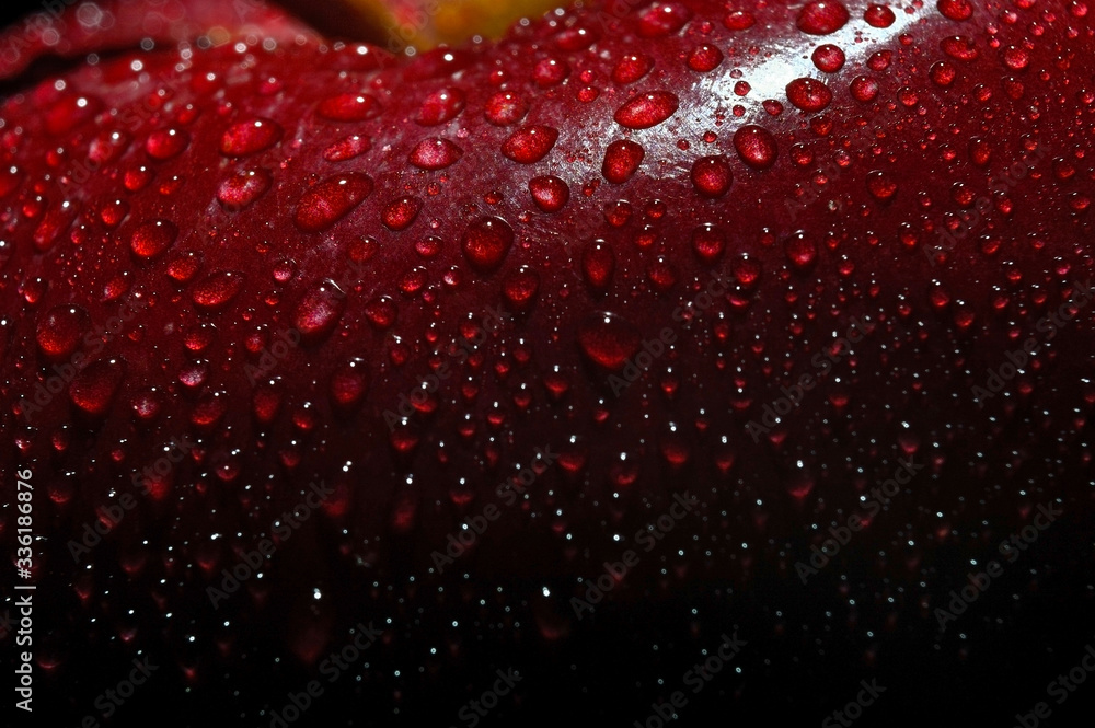 Close-Up Of Wet Apple Against Black Background Close-Up Of Wet Apple Against Black Background