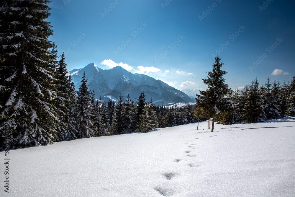 Fototapeta premium Snow covered mountains.