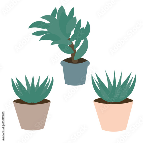 Indoor and outdoor landscape garden potted plants isolated on white. Vector set green plant in pot, illustration of flower pot bloom