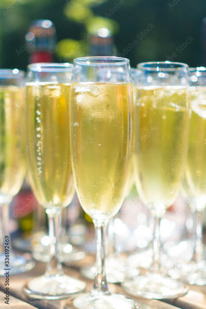 champagne in a glass on a sunny day champagne in a glass on a sunny day