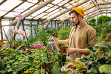 Serious young bearded worker in hipster cap watering potted plants in hothouse