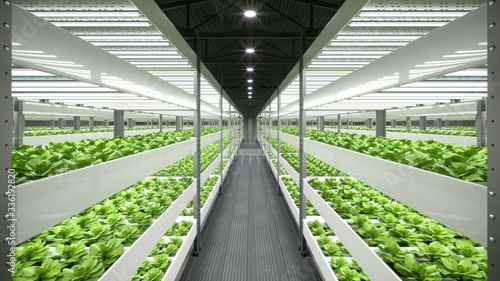 Indoor hydroponic vegetable plant factory in exhibition space warehouse. Interior of the farm hydroponics. Vegetables farm in hydroponics. Lettuce farm growing in greenhouse. Concrete floor. 3D render photo
