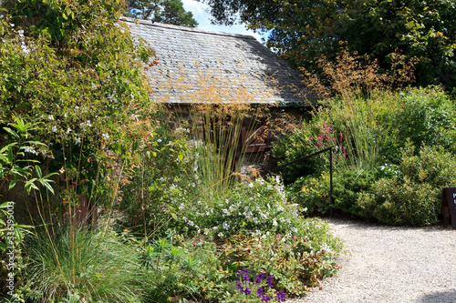 Fototapet Saltash (England), UK - August 21, 2015: Cotehele park, near Saltash,  Cornwall, England, United Kingdom
