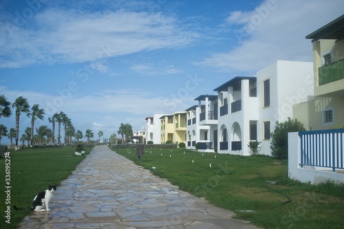 Verlassene Katze - Hotel Touristenwohnungen Paphos, Zypern.