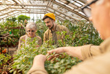 Young bearded man in cap asking grandmother about gardening while working with her in greenhouse