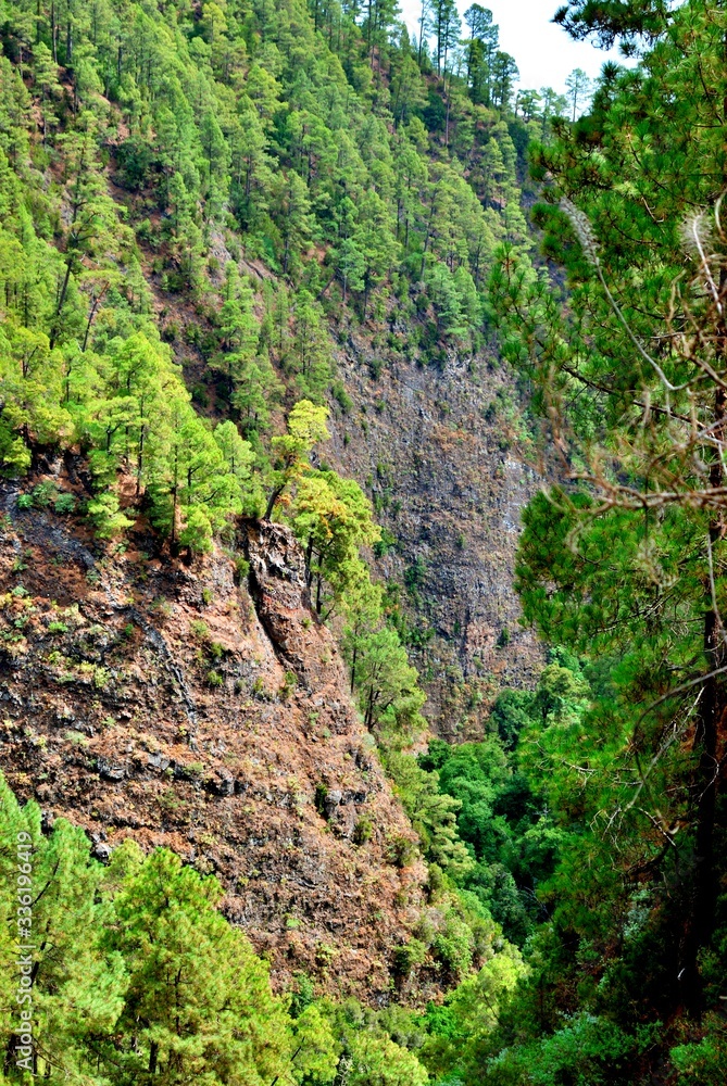 Born of Marcos y Cordero, it is one of the most important springs of the Canary Islands and is located about 1,350 meters high. It is a landscape formed by a path that starts from the Casa del Monte. Born of Marcos y Cordero, it is one of the most important springs of the Canary Islands and is located about 1,350 meters high. It is a landscape formed by a path that starts from the Casa del Monte.