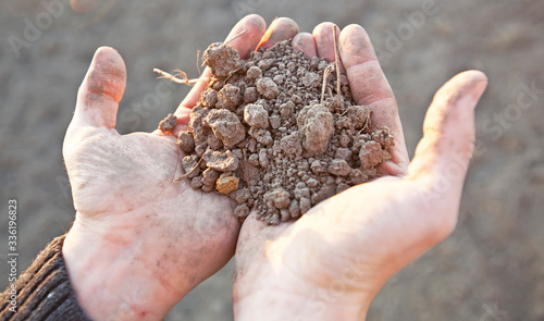 Photographie The man is holding the very dry soil in his palm