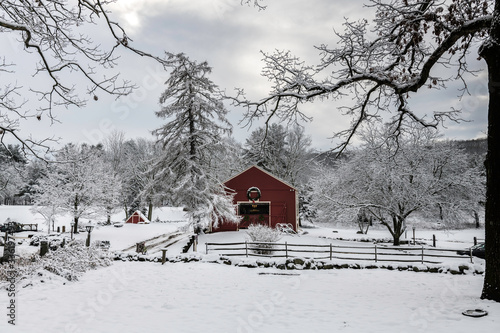 Country Winter Wonderland photo