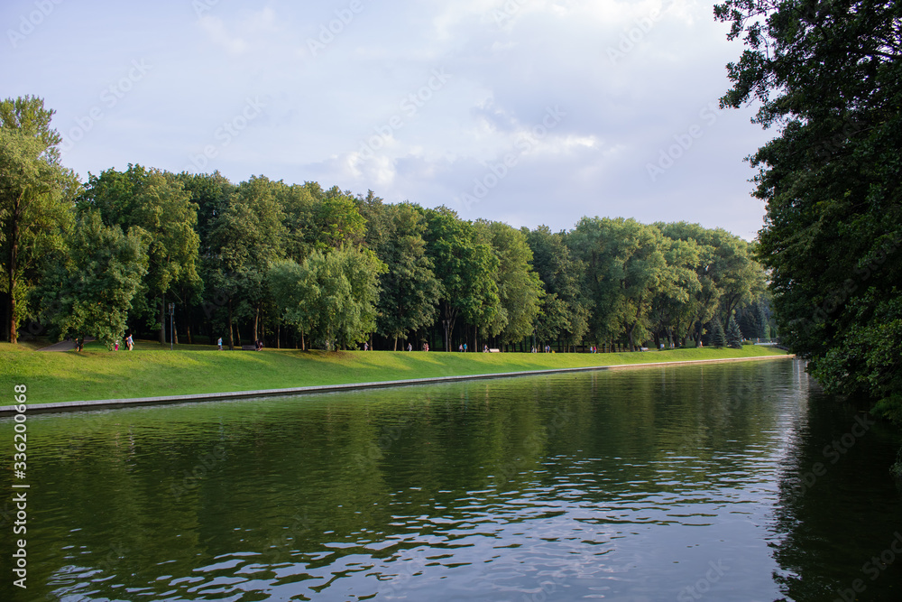 Fototapeta premium Trees by the river on a summer day. 