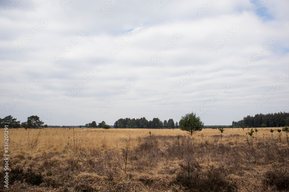 Obraz premium clouds over the field