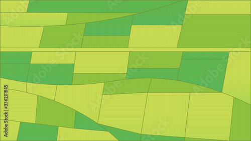 Agriculture field background. Green landscape top view.